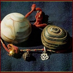 The Padam, The Saligram & 1 Rudraksh bead & Bead of Gold from the original Mala of Guru Nanak Dev Ji.